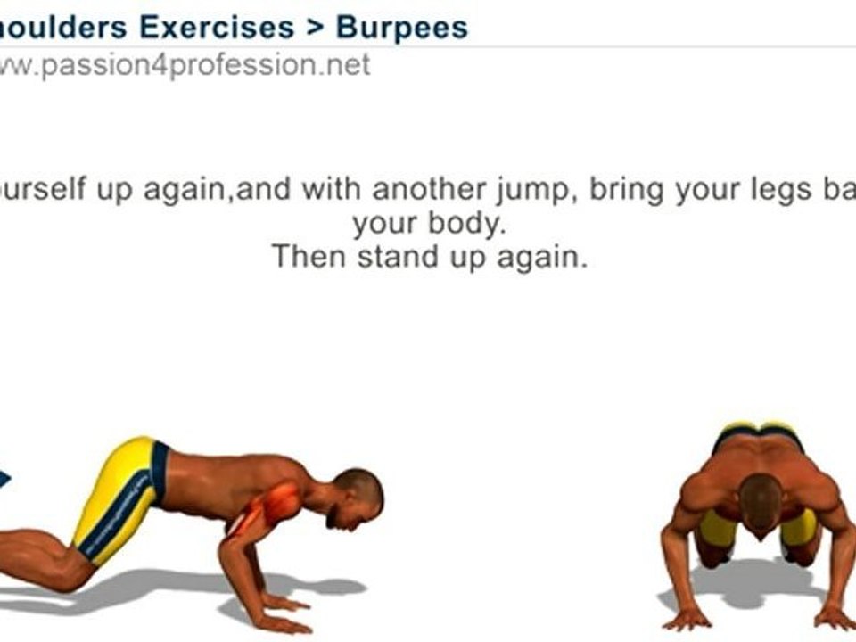 Chest Shoulders & Triceps