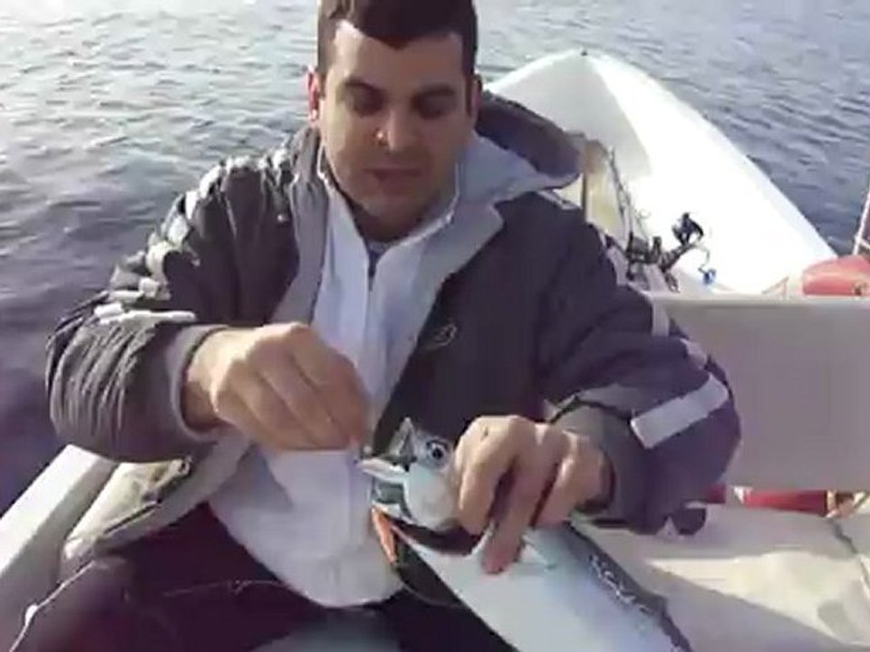 ANTALYA ADRASANDA YAZILI ORKİNOS AVI VİDEOSU - www.adrasanbalik.com