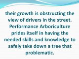 Reliable Tree Services from Performance Arboriculture