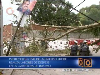 Árbol caído por lluvias afecta avenida Principal de Turumo
