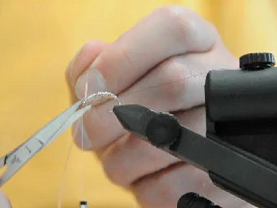 Montage d'une nymphe à ombre