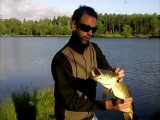 Fishing Brochet / Pike & Bass