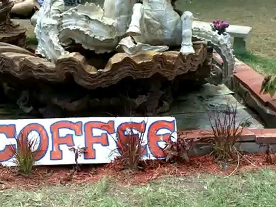 Michigan Coffee Shop - Cafe Mermaid at the Michigan Renaissance Festival. Specialty Coffee. Latte's. Cappuccino. Independent business.