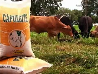 Agro Mais do dia 03-08-2012