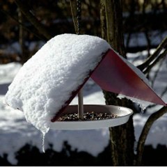 ben dogunun gariban kızıyım