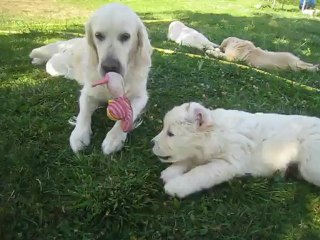 Jeu entre mère et fille "Janis" (2 mois)