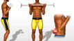 Musculation biceps: avant bras debout