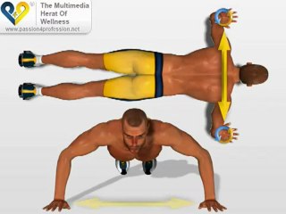 Esercizi Pettorali : Flessioni