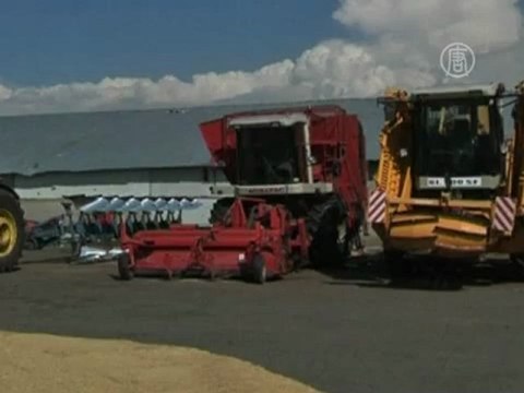 Зерновых в России соберут в два раза меньше