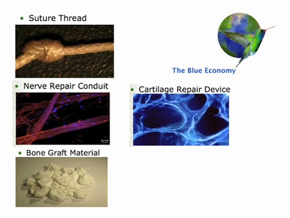 The Blue Economy - Innovation No.7: Silk 'vs.' Titanium