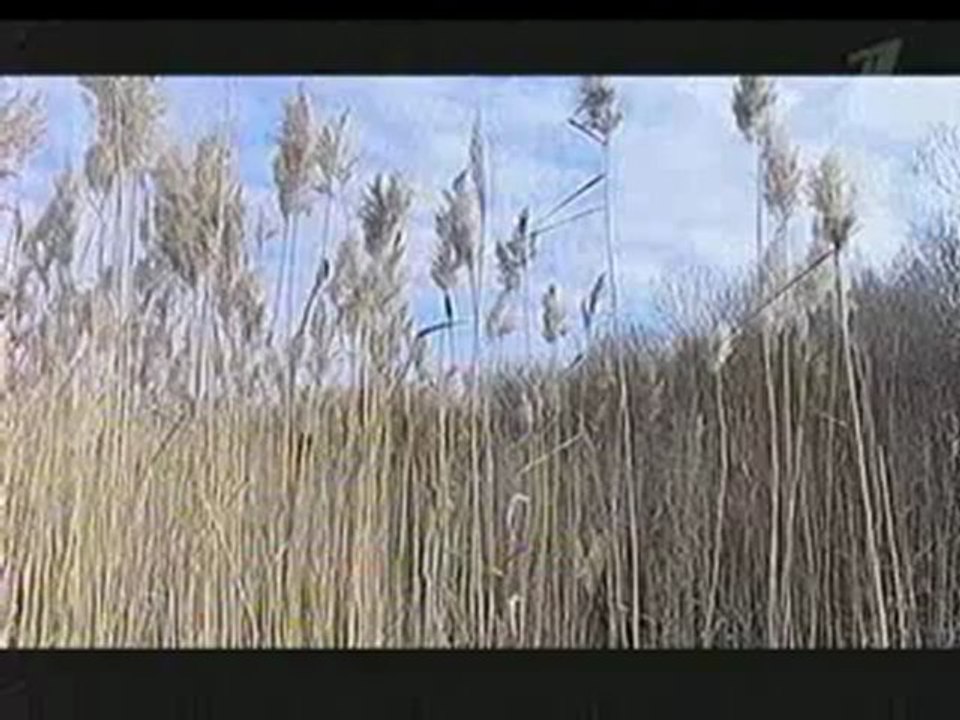 Искатели - Ледовое побоище