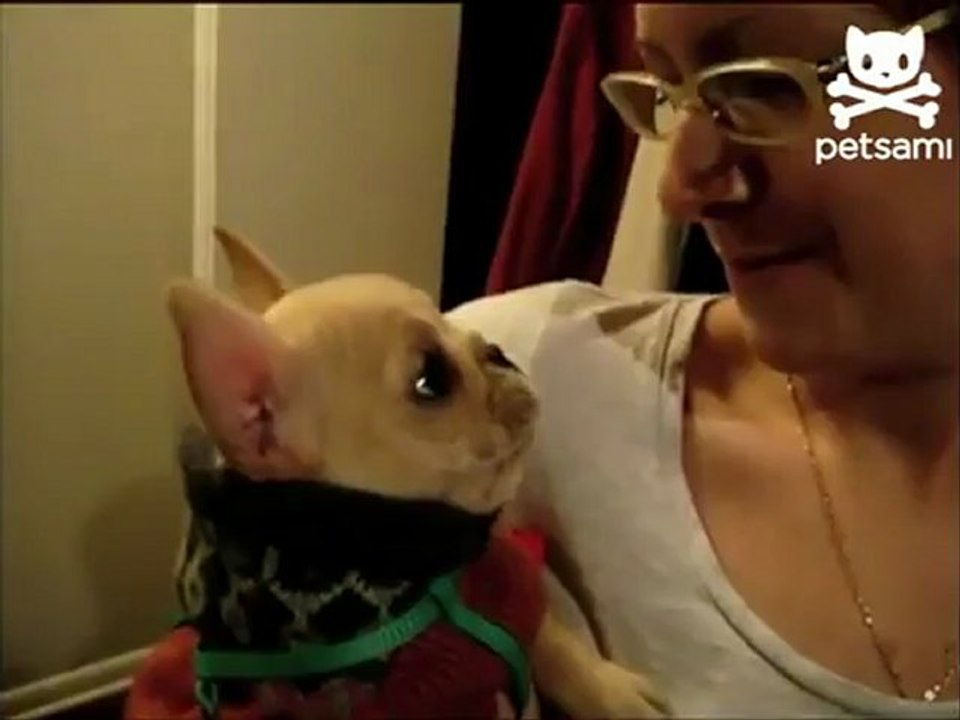 Пос говорит Ilove you