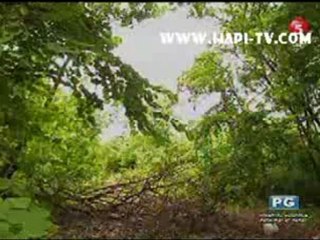 ENCHANTED GARDEN(TV5): Episode5 part1/2 (8/3/12)