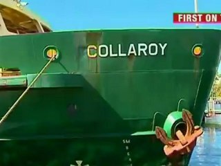 Whale calf injured by propeller has good survival chance