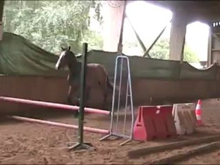 Amset Palija- 1ère barres