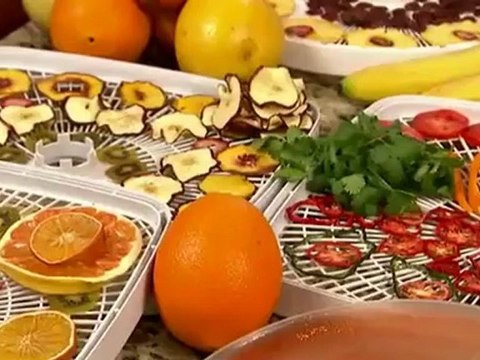 Nesco FD-75PR 700-Watt Food Dehydrator