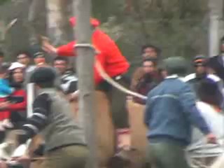 2012-08-05 - Doma y Jineteada (Parte 1)  (Expo rural 2012)