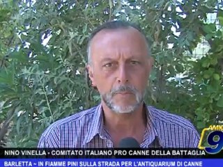 Barletta | In fiamme pini sulla strada per l'Antiquarium di Canne