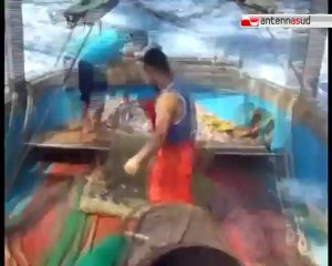TG 06.08.12 Pesca: da oggi "fermo biologico" sul mare Adriatico. A tavola solo cozze e vongole