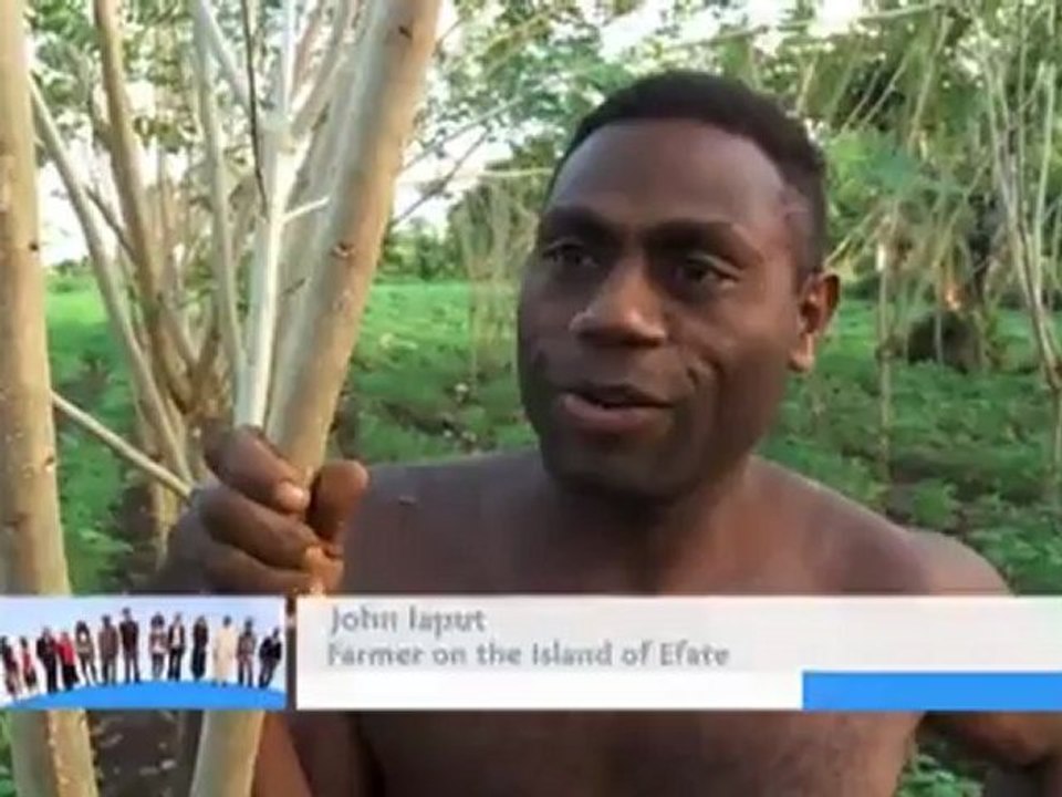 Shade Trees and Mangroves - Climate change in the South Pacific | Global 3000
