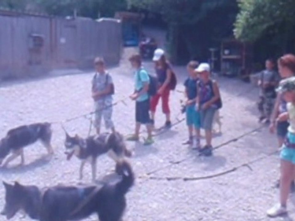 CANI-RANDO en vallée de Brevon-CCRB
