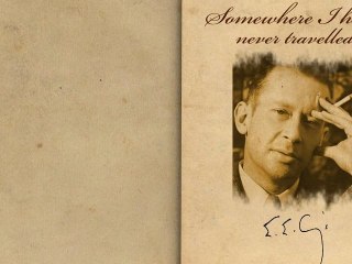 Somewhere I Have Never Traveled by E. E. Cummings – Poetry Reading