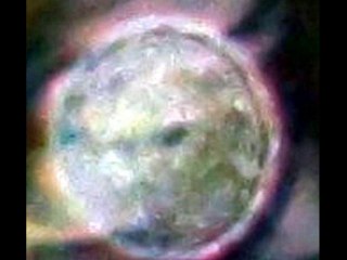 ORBS SURVEY PROGRAM 2012 @ FANFAN