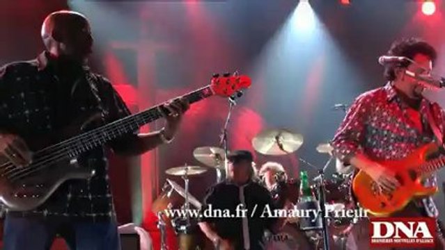 Le groupe de rock américain Toto met le feu à la Foire aux vins de Colmar