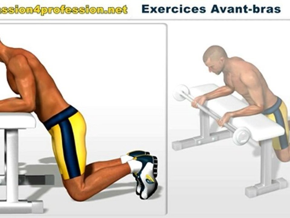 Musculation avant-bras: Flexion poignets avec barre