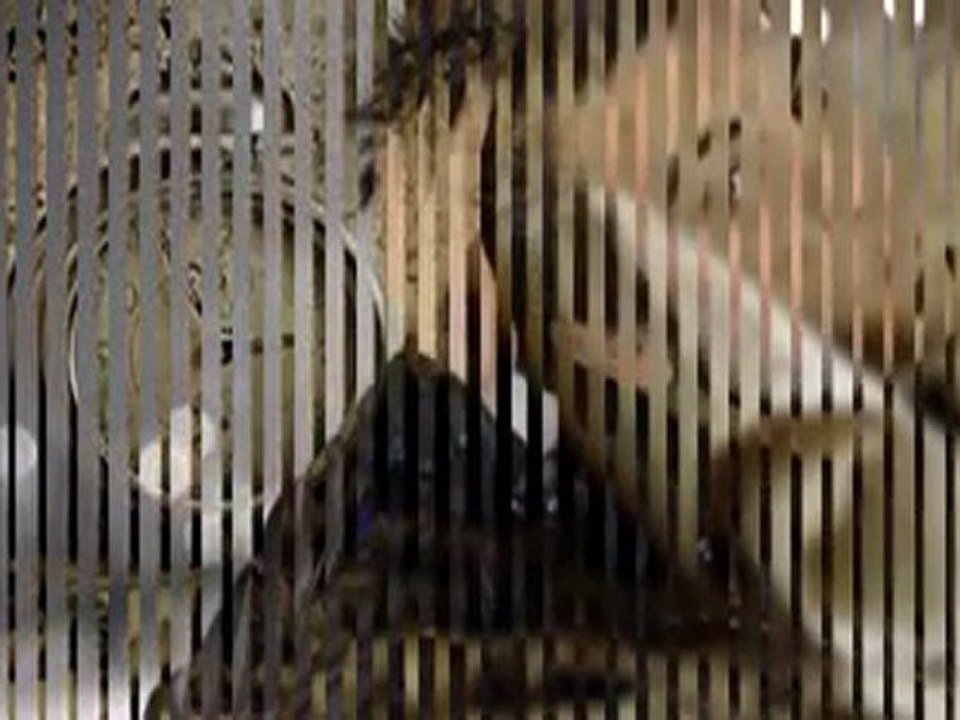 Arsız Bela [Özledim Eski Günleri] 2012 (MacroBeatz) - YouTube