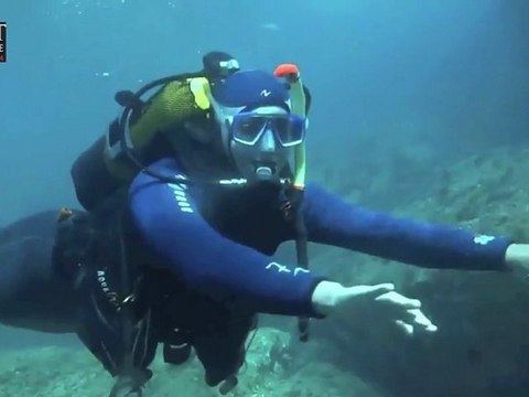 Plongée sous-marine Bouches-du-Rhône