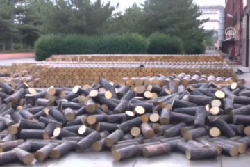 Boş kovanlar ekonomiye kazandırılıyor