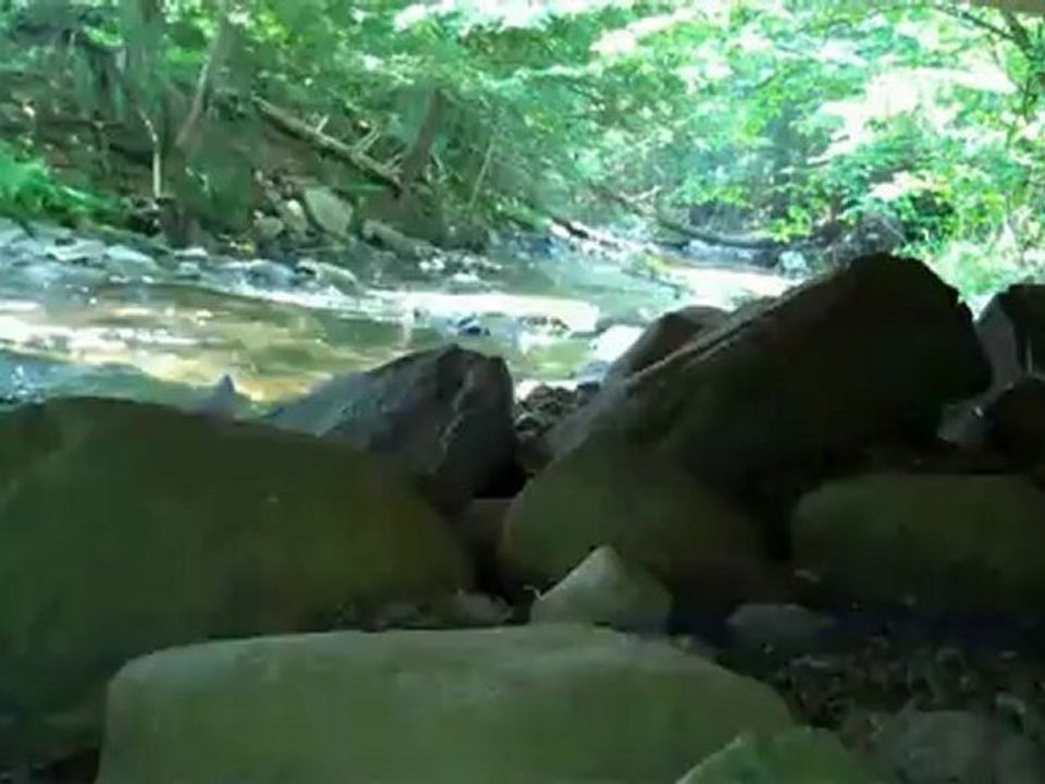 30 Seconds of Peace: Looking Under the Bridge