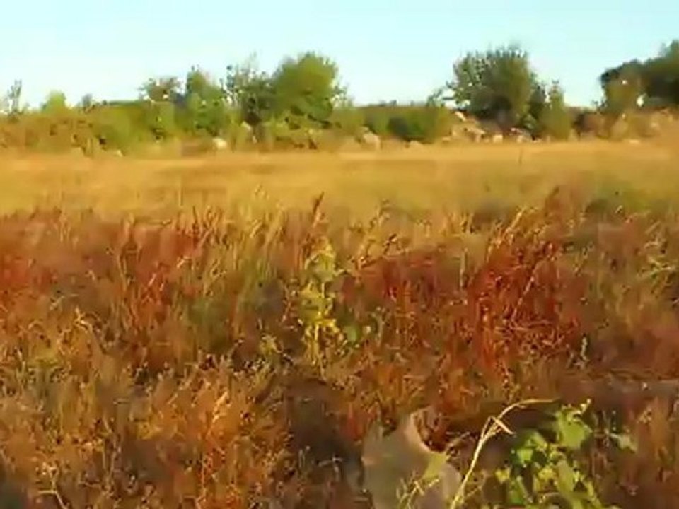 MOV_0116
