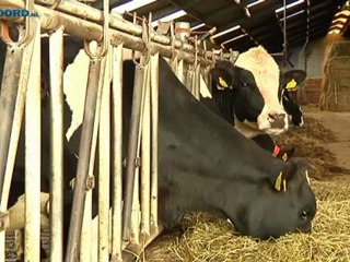 Hooibroeicontroleur maakt lange dagen - RTV Noord