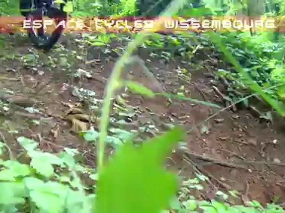 Cannondale Trigger carbon 2  TEST -  2013