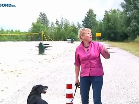 Autos niet meer welkom bij Botjeszandgat - RTV Noord