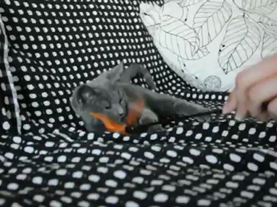 Hemma des Rives d'Estaing 3 mois