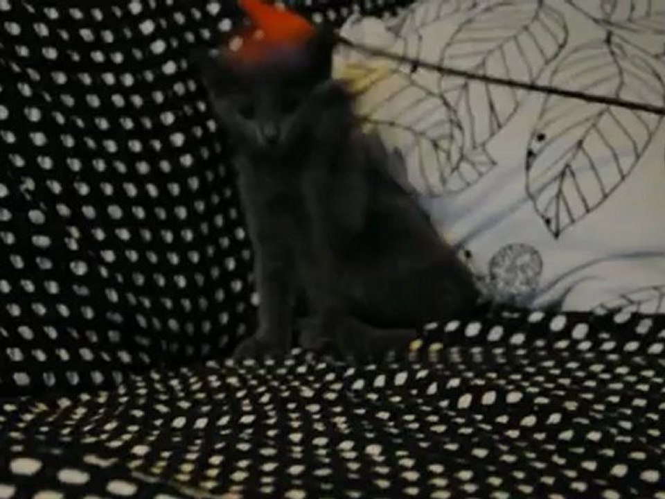 Heden des Rives d'Estaing 3 mois