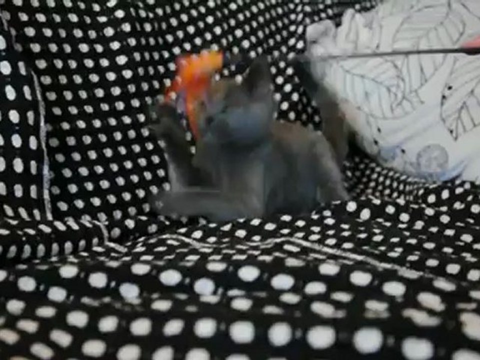 Hanoï des Rives d'Estaing 3 mois