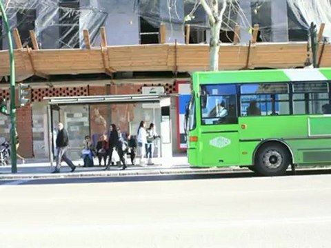 06 Seguridad Vial prioridad de paso de peatones