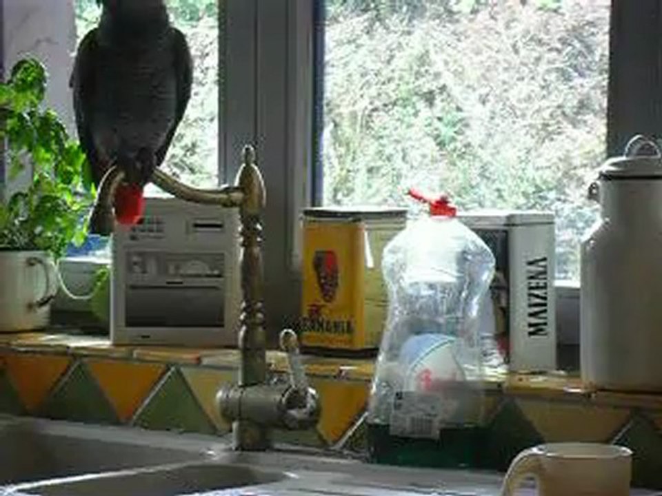 Le ouiiiiiiii de nadeuge (Secret Story)