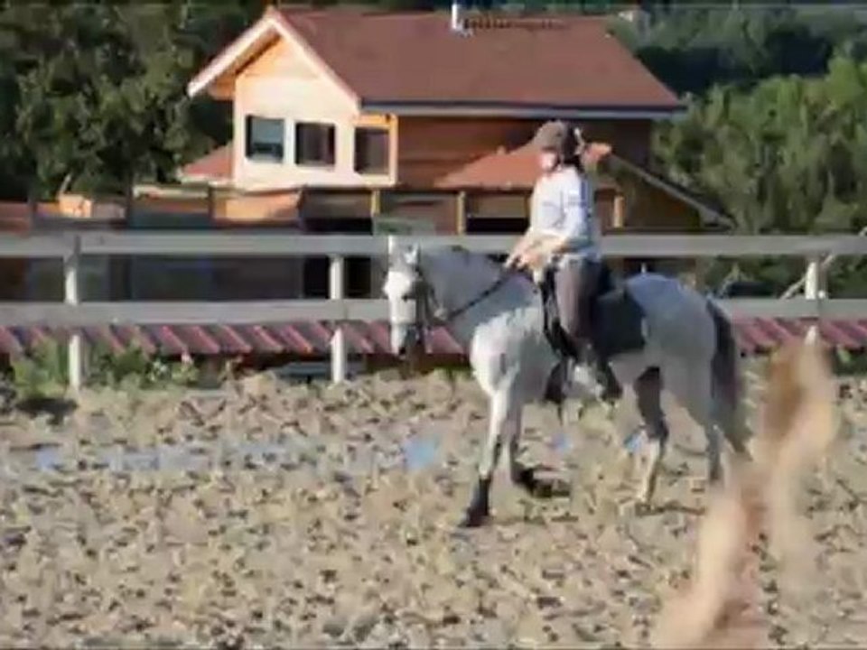 mymy et ora