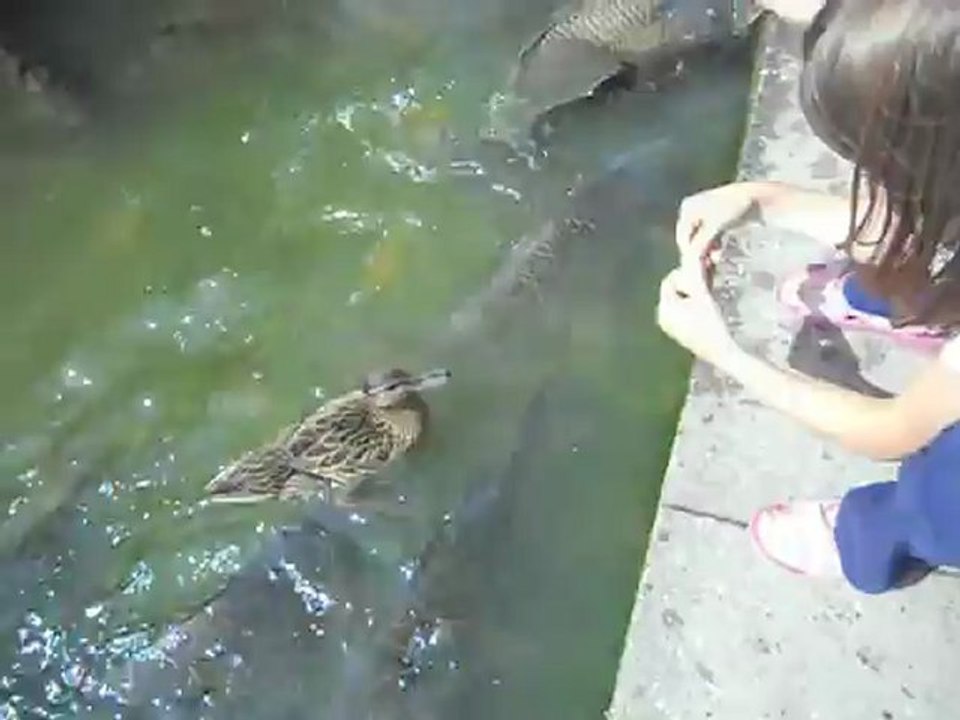 Pesti frumosi asa ceva nu vezi in fiecare zi minunat