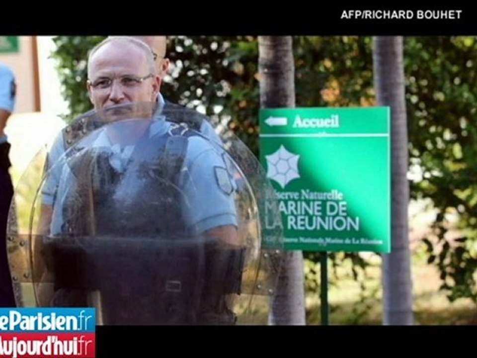 "Le requin tue moins que l'hippopotame, l'éléphant ou le moustique"