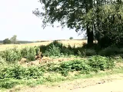 HAZER EMLAK TEL _ 0546 851 6657 KAYNARCA,DA SATILIK ARSA, KAYNARCA DA SATILIK ARAZİ, KAYNARCA DA SATILIK ARSALAR, KAYNARCA YATIRIMLIK ARSA FİYATLARI, KAYNARCA SATILIK ÇİFTLİK TAVUK KÜMESİ, ÇİFTLİK ARAZİSİ AHIR MANDIRA BESİHANE, HAYVAN ÇİFTLİĞİ BESİ AHIR