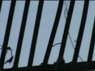 Syria فري برس حلب  5 د طائرة حربية تقوم بقصف المدينة (واااااضح) 7-8-2012