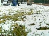 Rare snowfall delights S. Africans