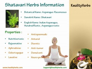 Buy Shatavari Himalaya – Female Tonic that Relieves Menopause Symptoms at the Lowest Price