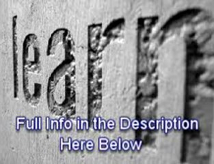 shaan stevens director